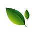eco friendly icon with 2 green leaves